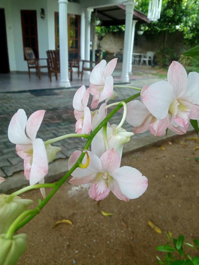 Sidhangana Home Stay Анурадхапура Экстерьер фото