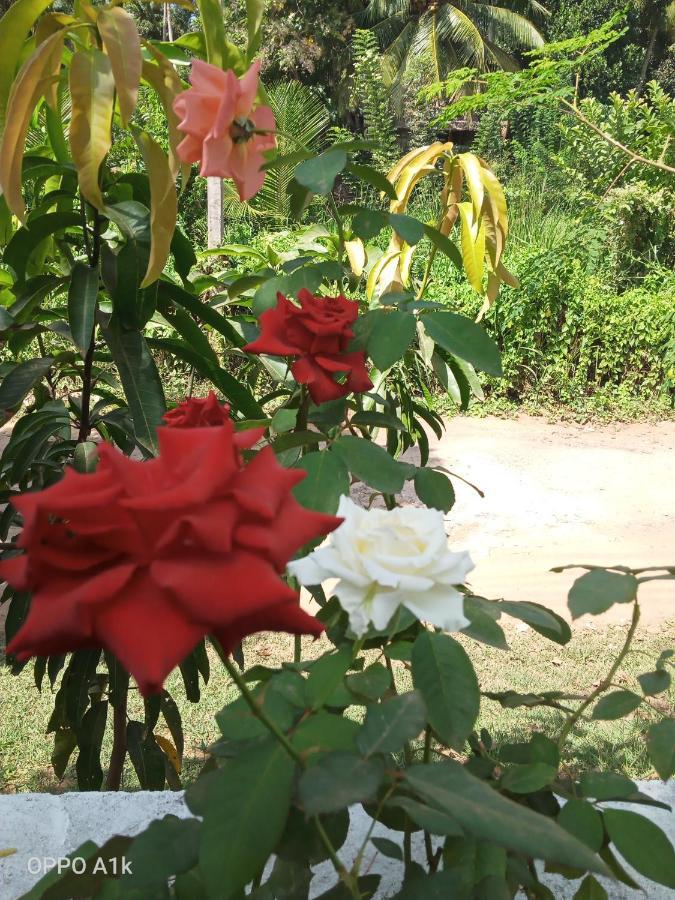 Sidhangana Home Stay Анурадхапура Экстерьер фото